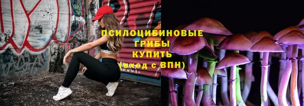 наркотики Каменногорск